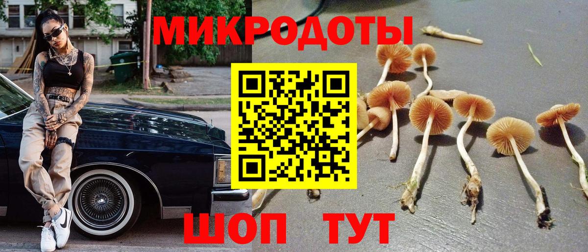Псилоцибиновые грибы MAGIC MUSHROOMS Новозыбков