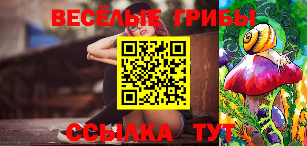 Псилоцибиновые грибы MAGIC MUSHROOMS  сколько стоит  Новозыбков  Вход с VPN 
